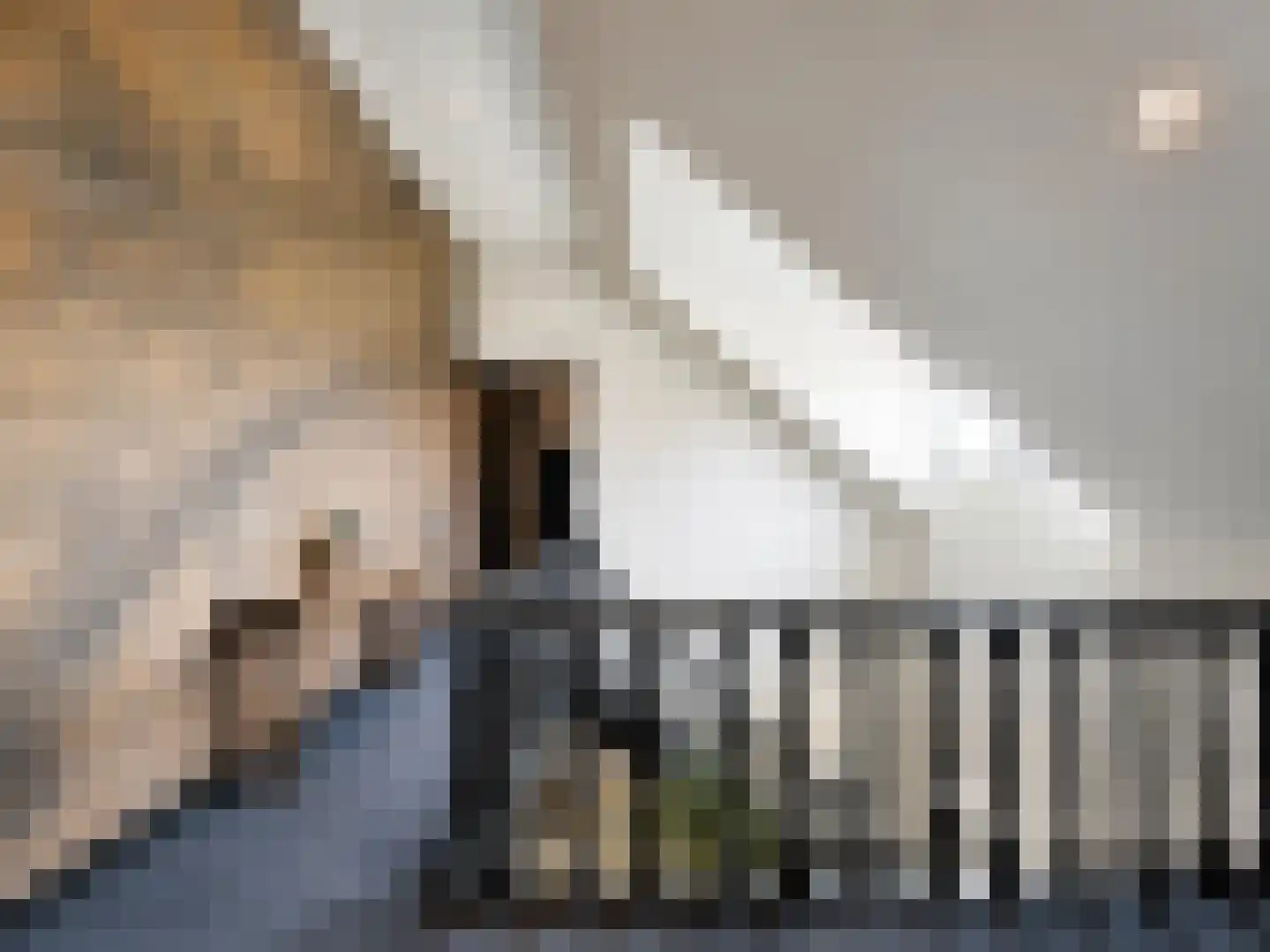 Meidoornstraat 19 St. Willebrord thumbnail 53