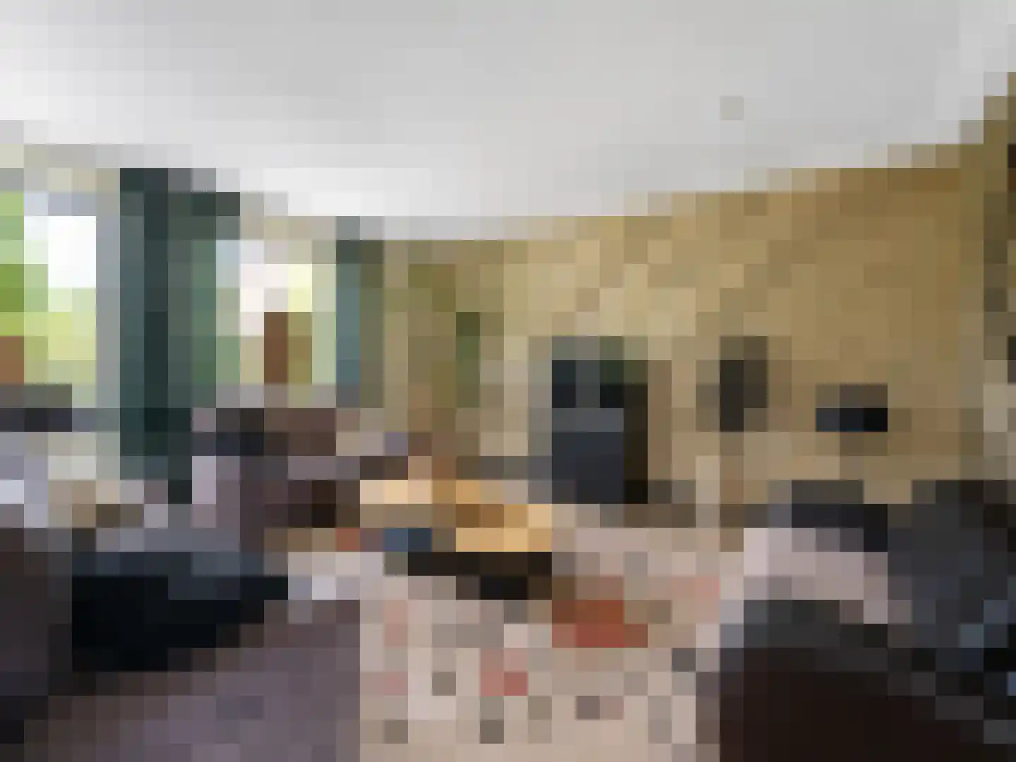 Meidoornstraat 19 St. Willebrord thumbnail 6