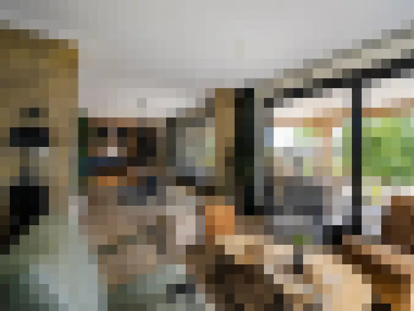 Meidoornstraat 19 St. Willebrord thumbnail 7