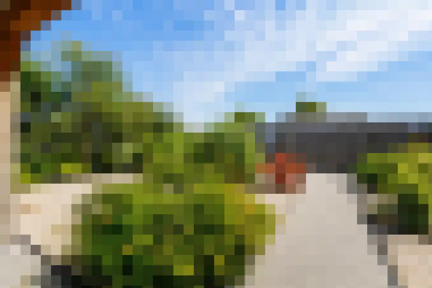 Meidoornstraat 19 St. Willebrord thumbnail 70