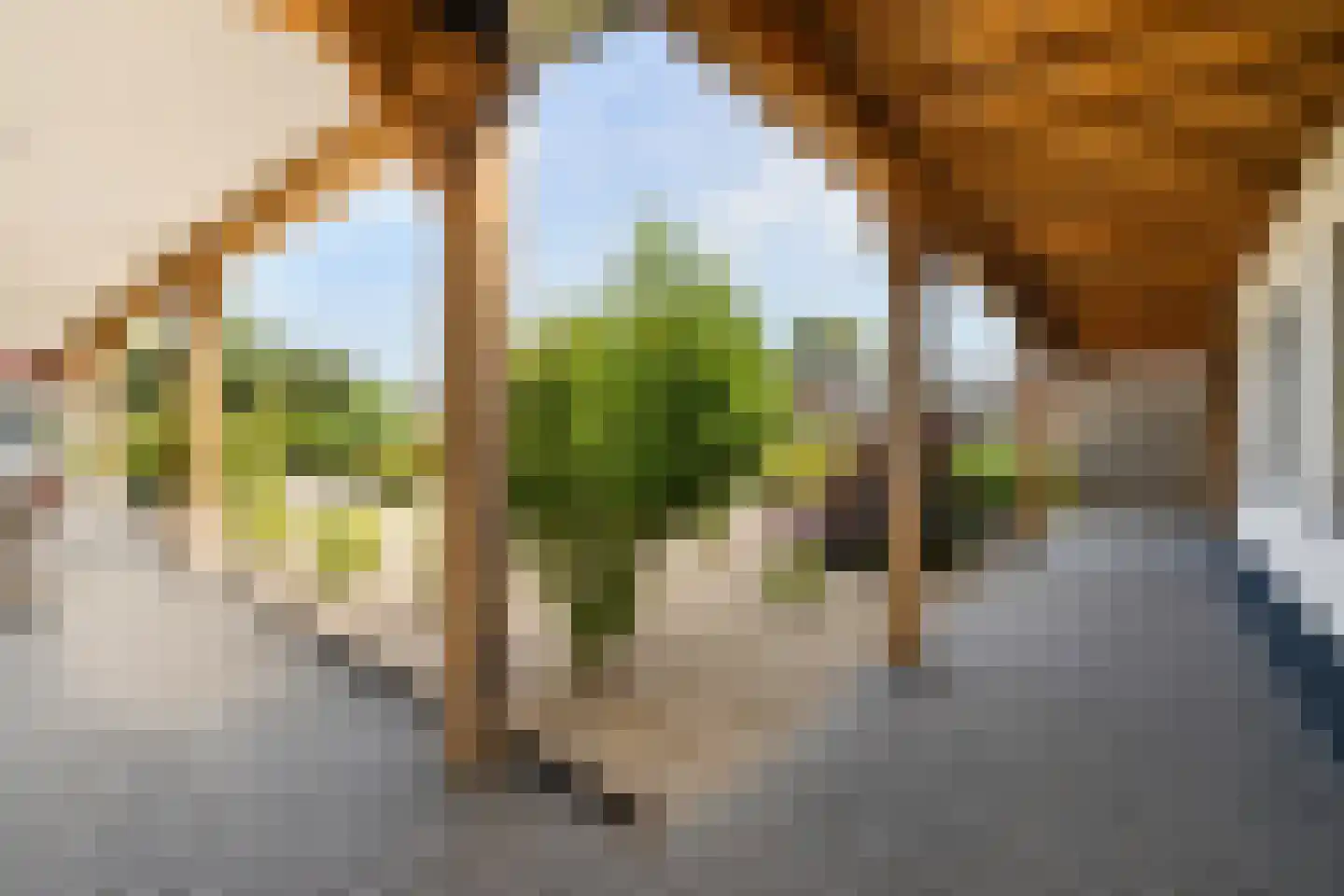 Meidoornstraat 19 St. Willebrord thumbnail 76