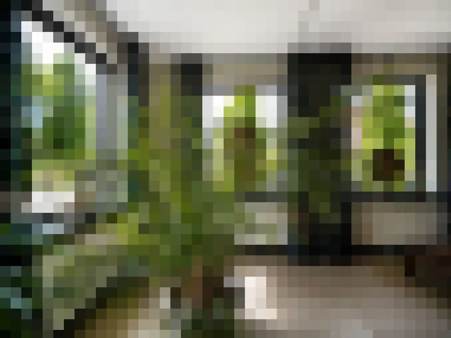 Meidoornstraat 19 St. Willebrord thumbnail 8