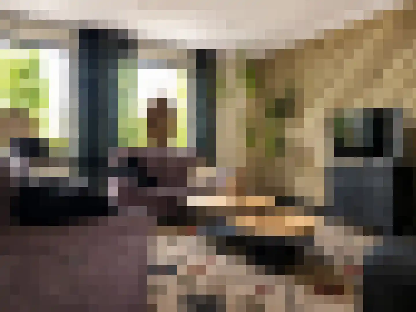 Meidoornstraat 19 St. Willebrord thumbnail 9