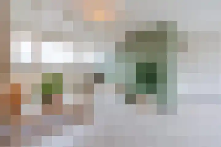 Meidoornstraat 19 Zwolle thumbnail 32