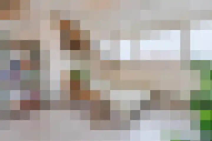 Meidoornstraat 19 Zwolle thumbnail 33