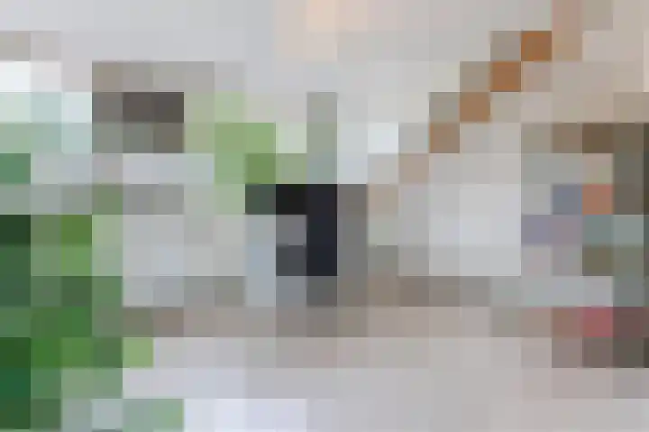Meidoornstraat 19 Zwolle thumbnail 34