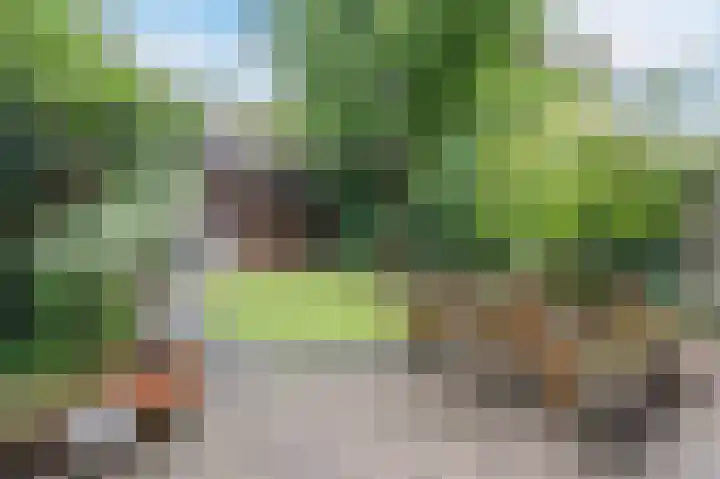 Meidoornstraat 19 Zwolle thumbnail 36