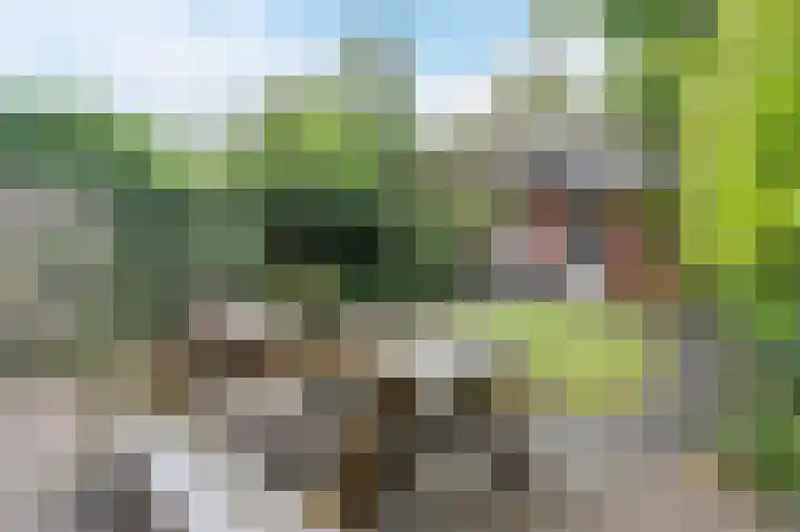 Meidoornstraat 19 Zwolle thumbnail 37
