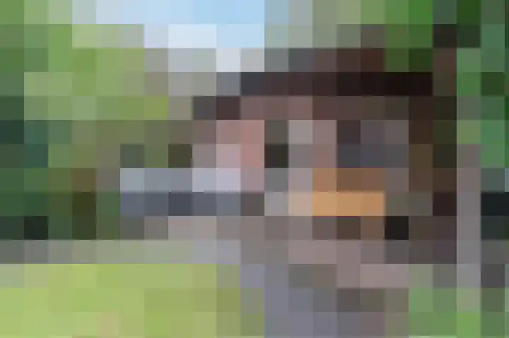 Meidoornstraat 19 Zwolle thumbnail 38