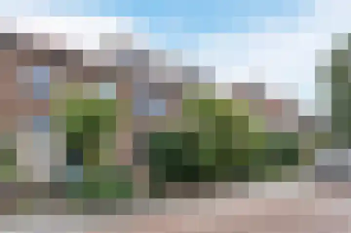 Meidoornstraat 19 Zwolle thumbnail 6