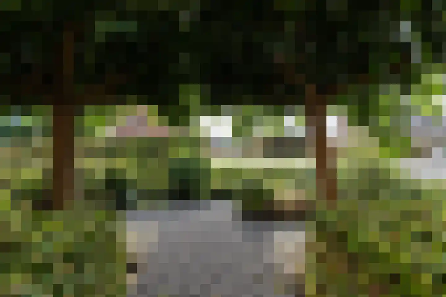 Meidoornstraat 2 Bleskensgraaf ca thumbnail 21