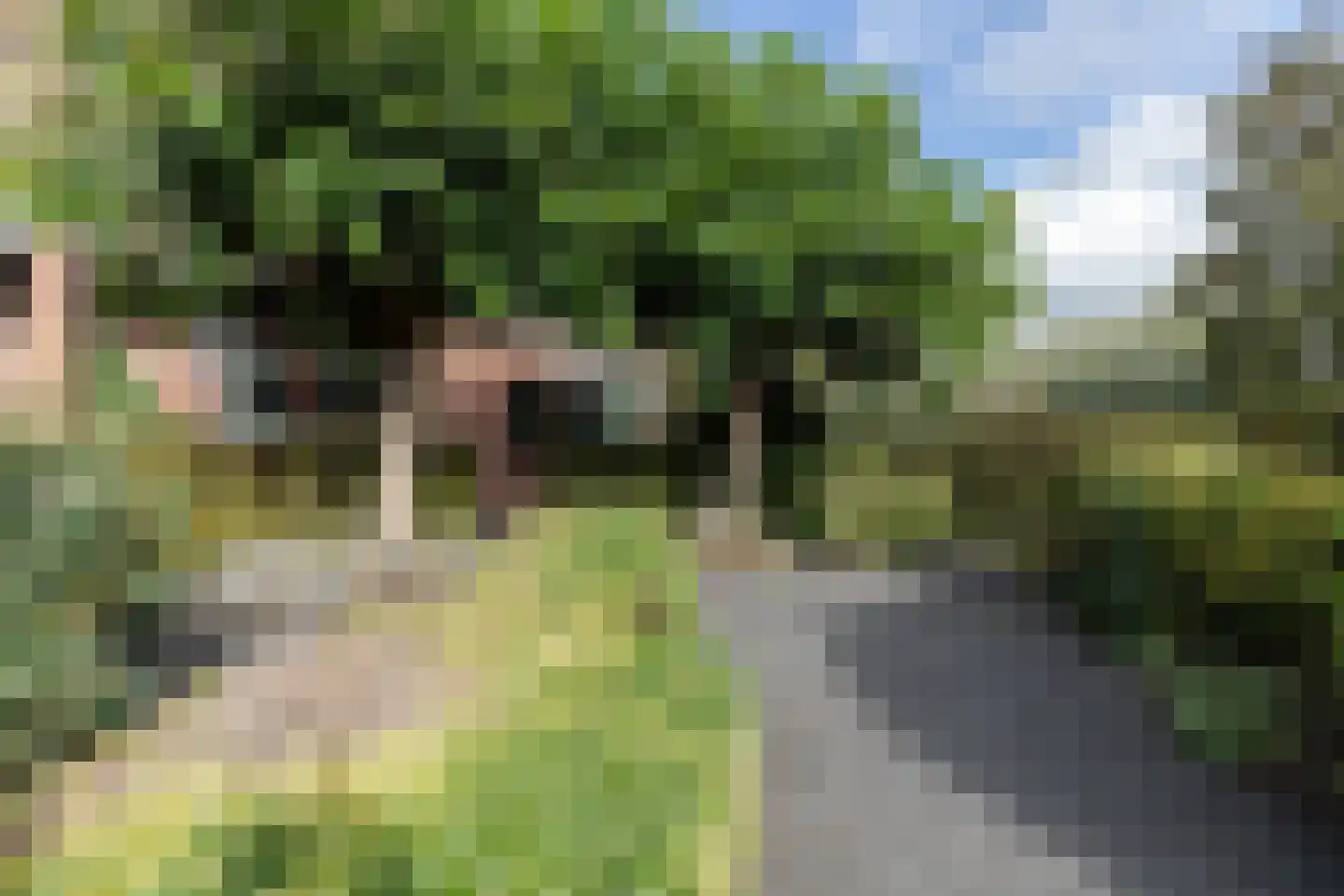 Meidoornstraat 2 Bleskensgraaf ca thumbnail 23