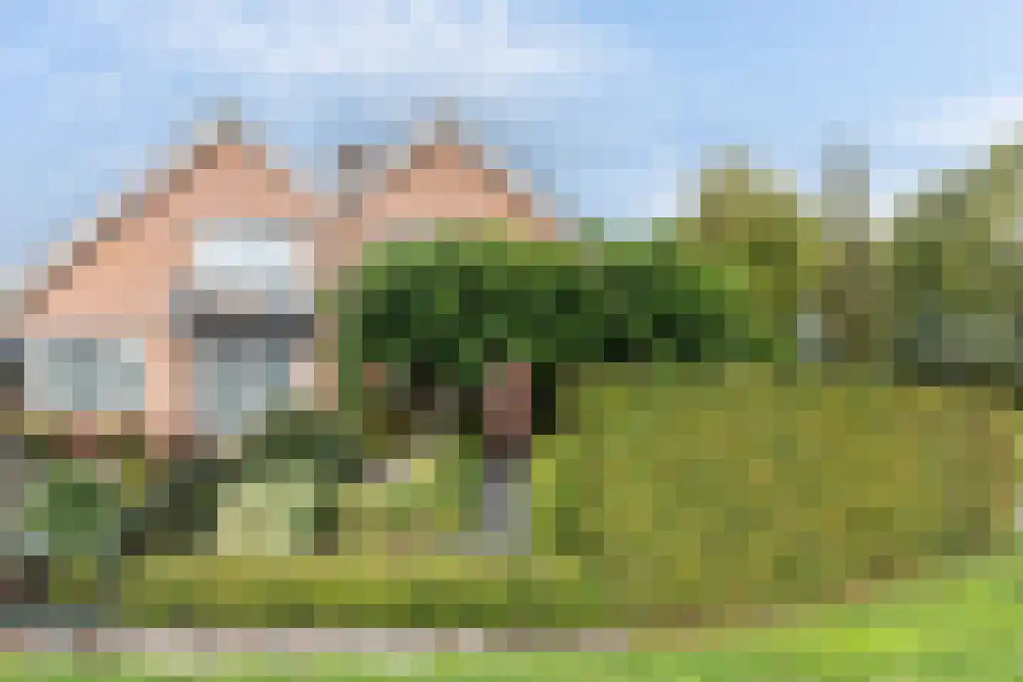 Meidoornstraat 2 Bleskensgraaf ca thumbnail 24
