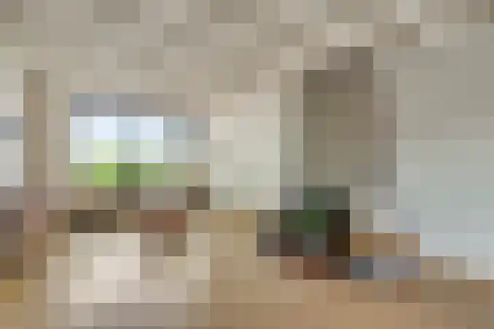 Meidoornstraat 2 Ell thumbnail 10