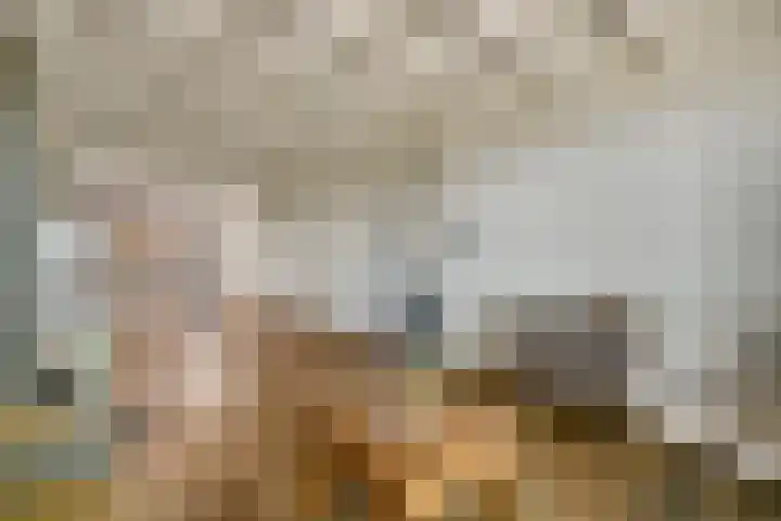 Meidoornstraat 2 Ell thumbnail 11