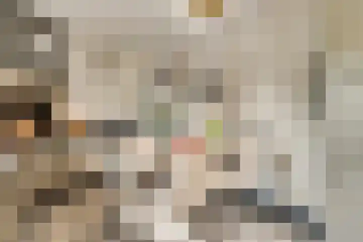 Meidoornstraat 2 Ell thumbnail 14
