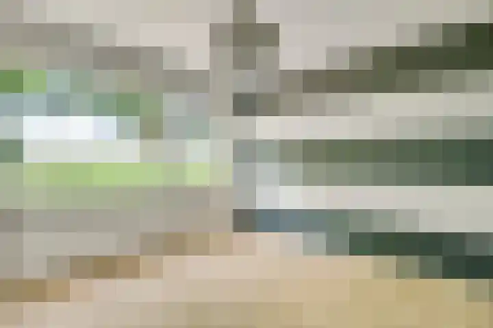 Meidoornstraat 2 Ell thumbnail 16