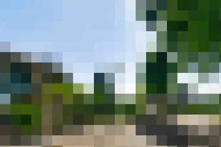 Meidoornstraat 2 Ell thumbnail 34