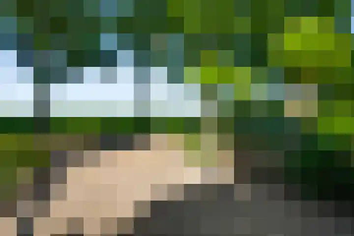 Meidoornstraat 2 Ell thumbnail 35
