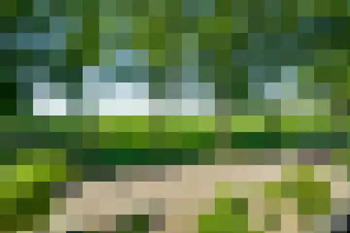 Meidoornstraat 2 Ell thumbnail 5