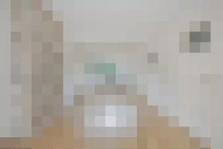 Meidoornstraat 2 Leiderdorp thumbnail 11
