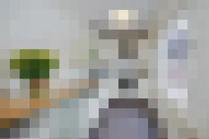 Meidoornstraat 2 Leiderdorp thumbnail 16