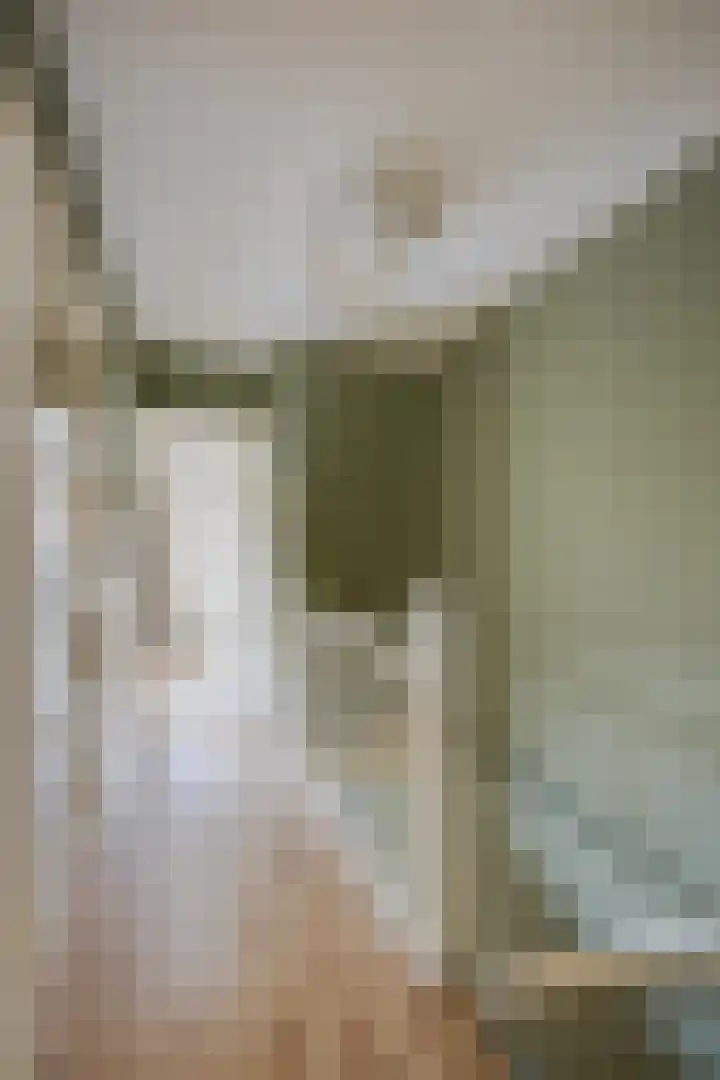 Meidoornstraat 2 Leiderdorp thumbnail 25