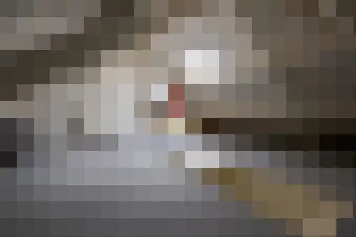 Meidoornstraat 2 Leiderdorp thumbnail 33