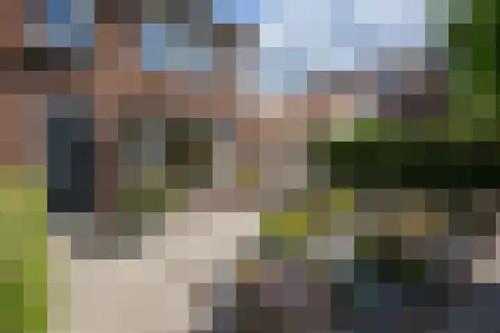 Meidoornstraat 2 Leiderdorp thumbnail 5