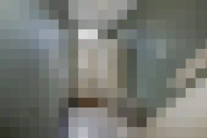 Meidoornstraat 2 Leiderdorp thumbnail 8