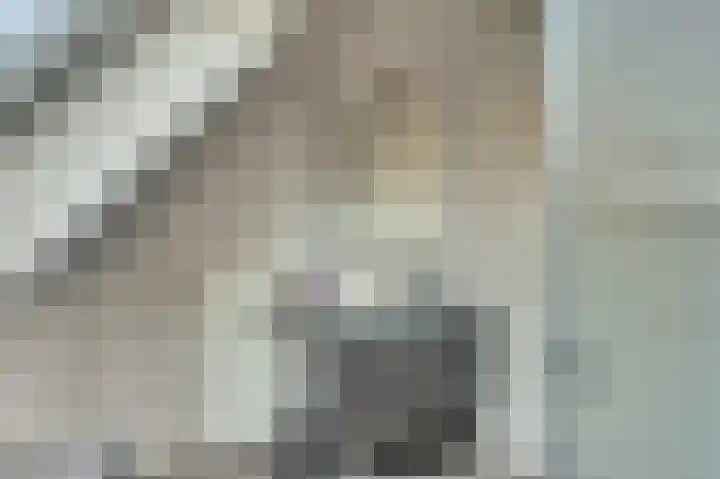 Meidoornstraat 2 Maurik thumbnail 13