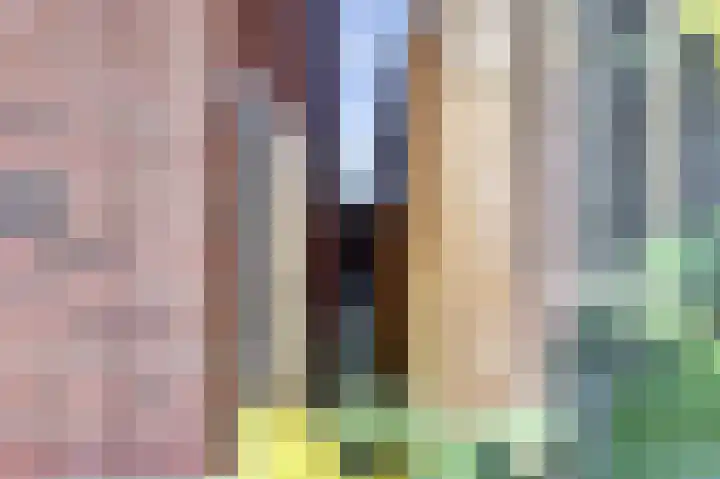 Meidoornstraat 2 Maurik thumbnail 18
