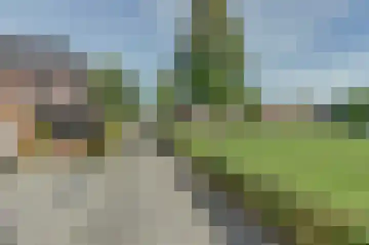 Meidoornstraat 2 Maurik thumbnail 20