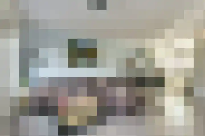 Meidoornstraat 2 Maurik thumbnail 4