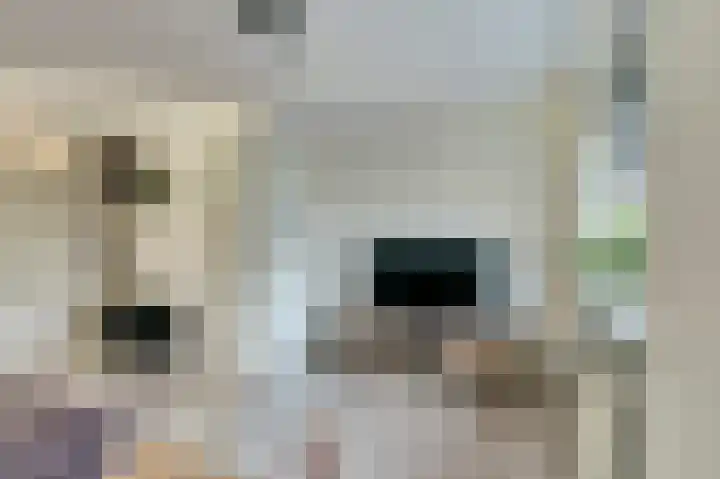 Meidoornstraat 2 Maurik thumbnail 6