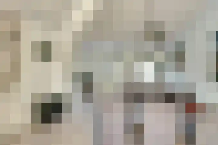 Meidoornstraat 2 Maurik thumbnail 7