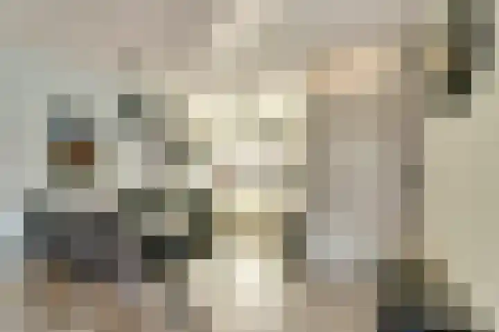 Meidoornstraat 2 Maurik thumbnail 8
