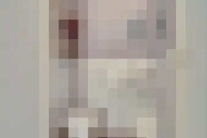 Meidoornstraat 2 Maurik thumbnail 9