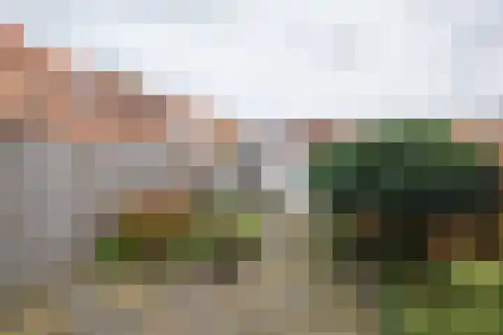 Meidoornstraat 2 Noordwijk thumbnail 19