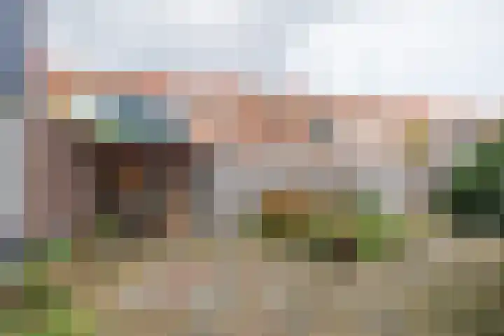Meidoornstraat 2 Noordwijk thumbnail 20