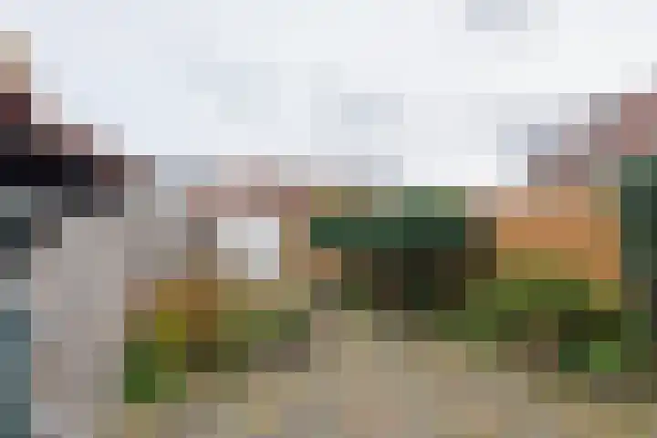Meidoornstraat 2 Noordwijk thumbnail 21