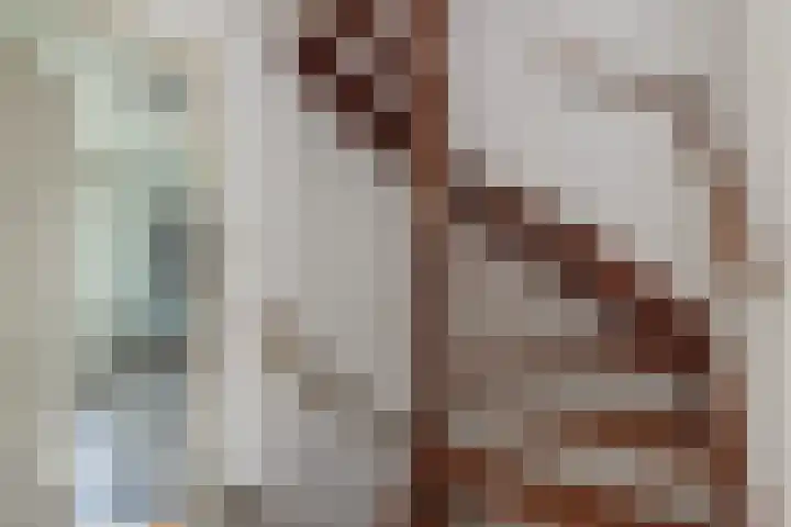 Meidoornstraat 2 Noordwijk thumbnail 23