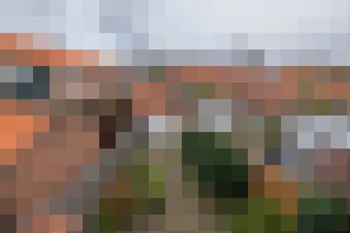 Meidoornstraat 2 Noordwijk thumbnail 31