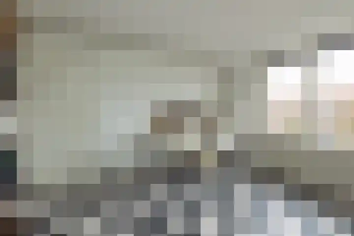 Meidoornstraat 2 Noordwijk thumbnail 37