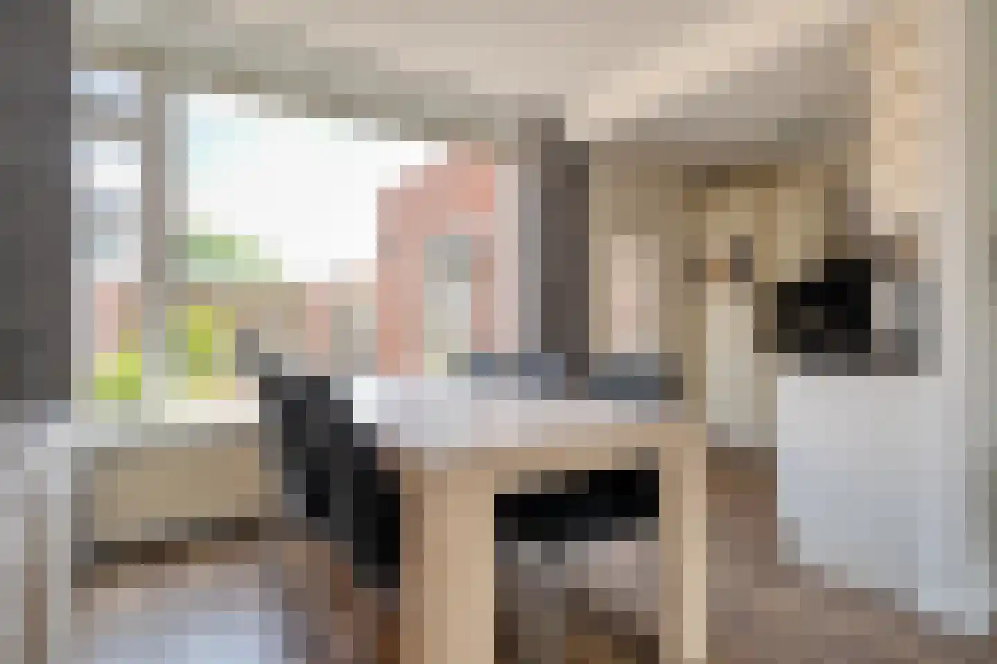 Meidoornstraat 2 Ommen thumbnail 11