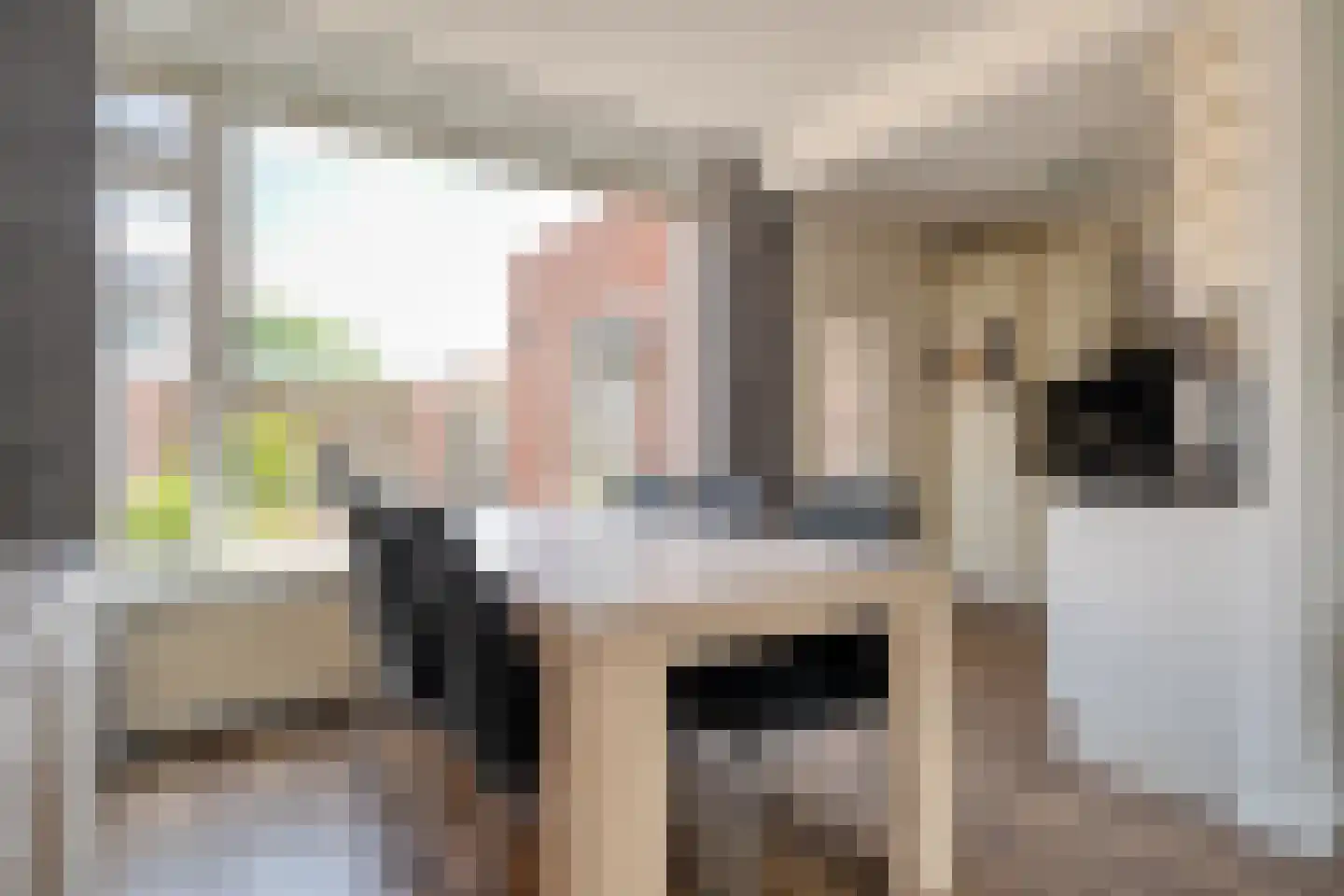 Meidoornstraat 2 Ommen thumbnail 12
