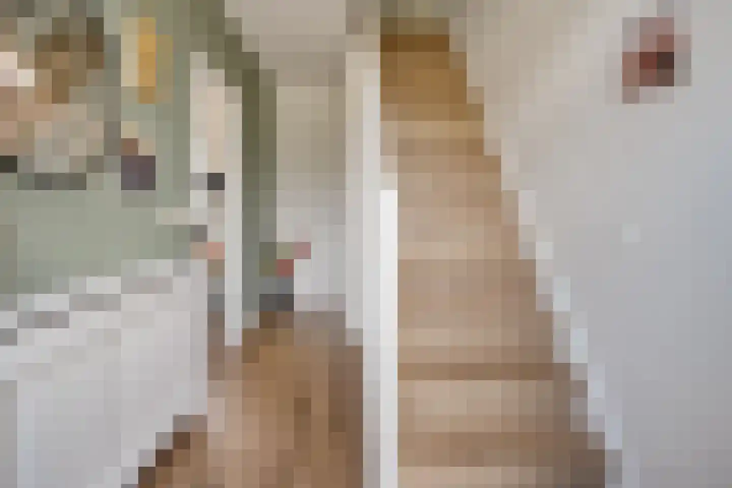 Meidoornstraat 2 Ommen thumbnail 20