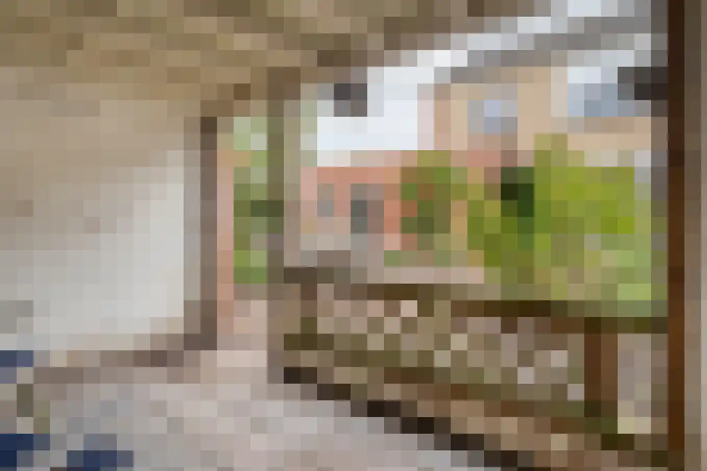 Meidoornstraat 2 Ommen thumbnail 33
