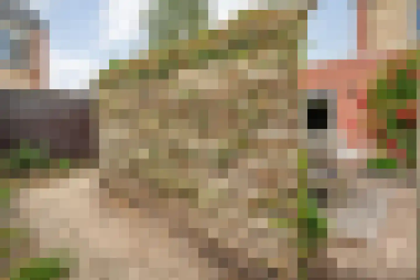 Meidoornstraat 2 Ommen thumbnail 38