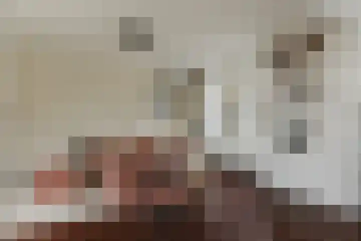 Meidoornstraat 2 Zundert thumbnail 20